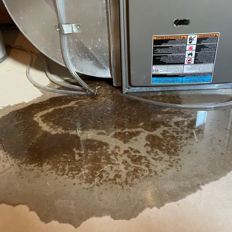 Pipe Burst and Leak Restoration in Kirkwood, MO