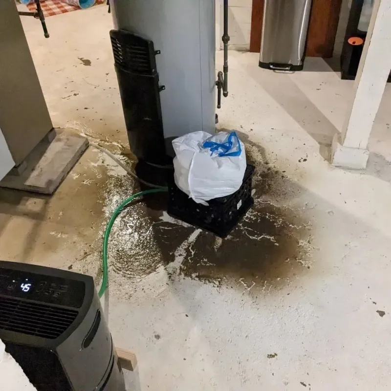Sewage Backup Cleanup Service in Kirkwood, MO